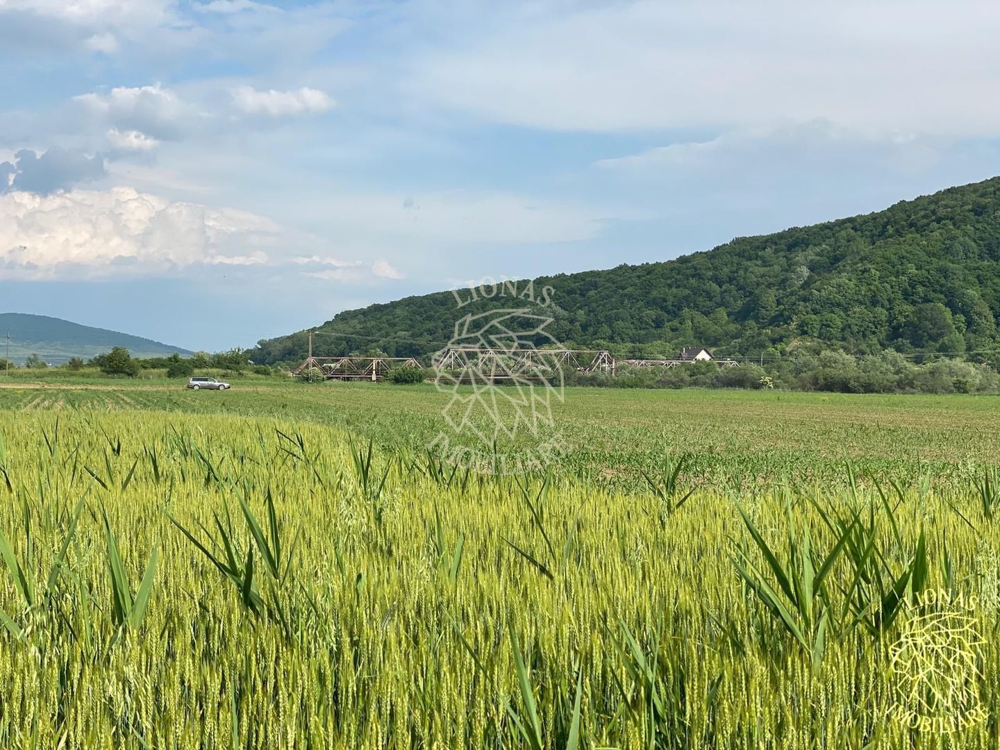 Teren -4.300 mp - Arabil - Chintelnic - Poză 6