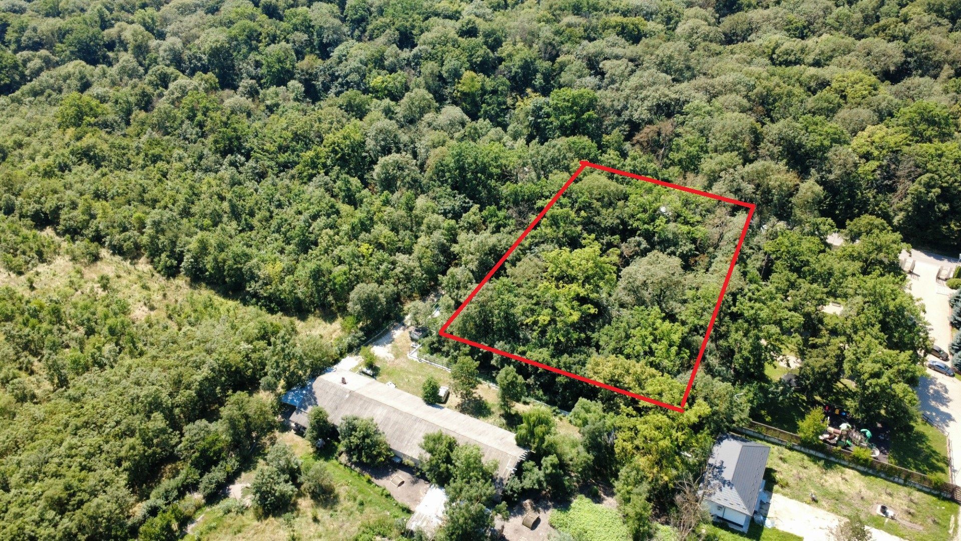 INVESTIȚIE!! Teren intravilan 5.000 mp, zona BĂLTENI - Padure; - Poză 2