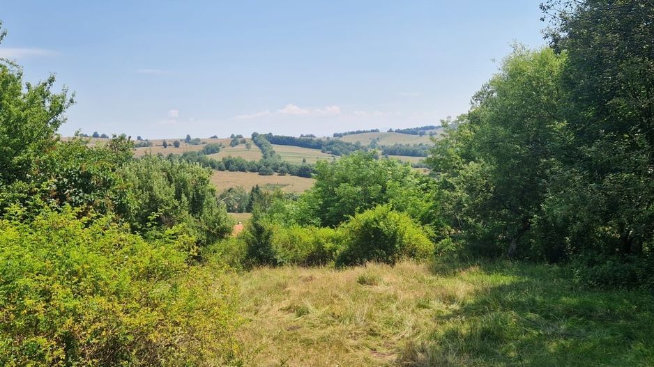 Teren intravilan 4.568 mp, 2 fronturi – Brebu Nou, Caraș-Severin - Poză 2