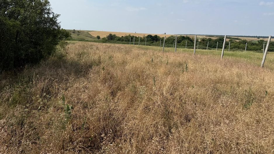 Teren intravilan Miersig, vedere la lac. 12,5 E/mp neg. Comision 0 - Poză 8