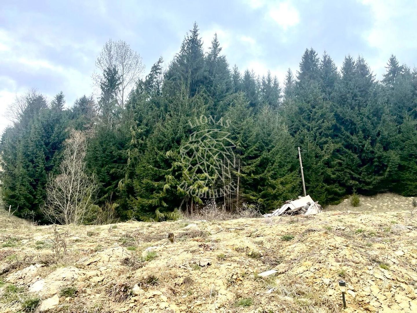 Teren intravilan 3039 mp-Parcelabil-ponton-Colibita Exclusiv - Poză 6