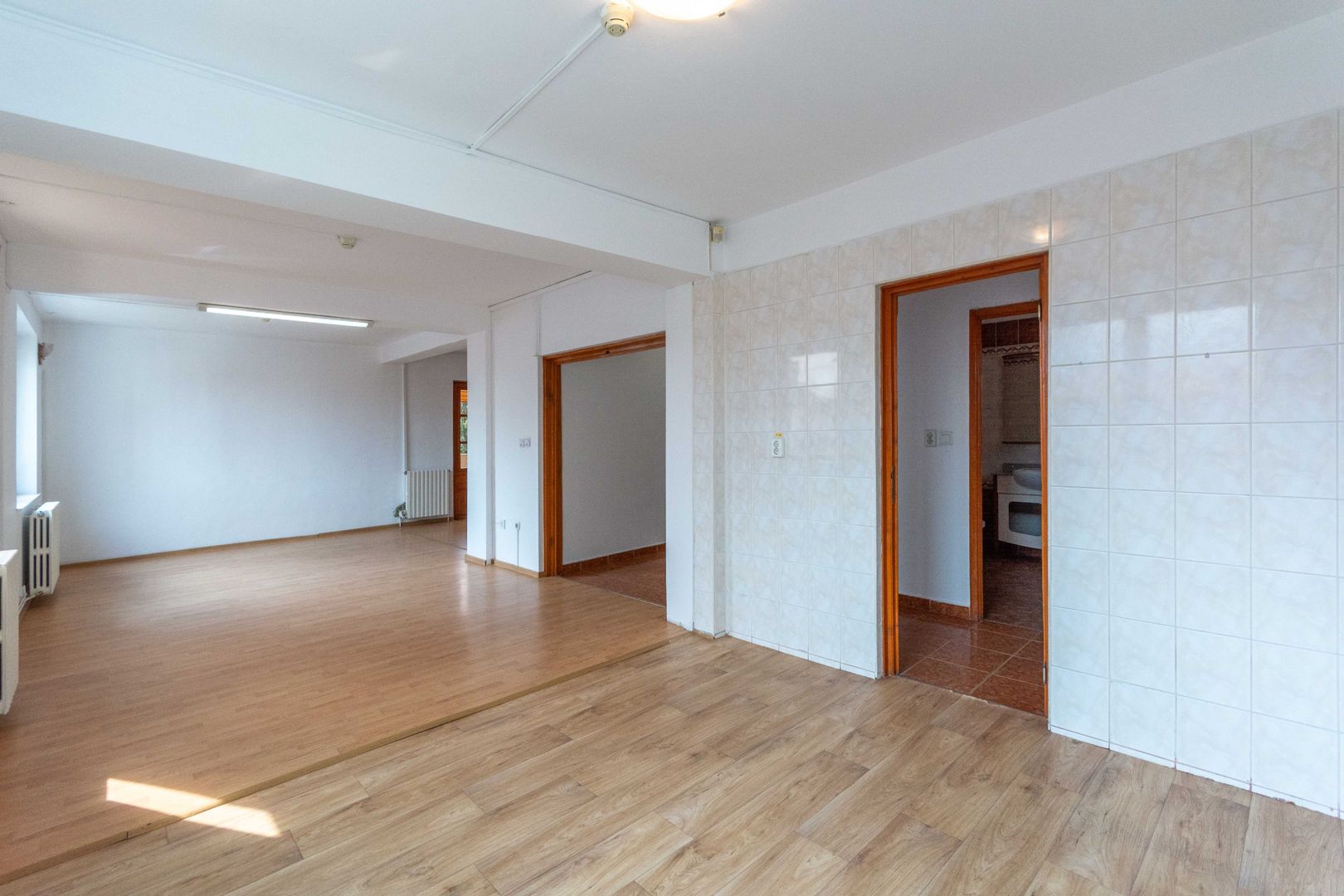 Aviatiei | Smaranda Braescu | Vila reprezentativa de inchiriat - Poză 36