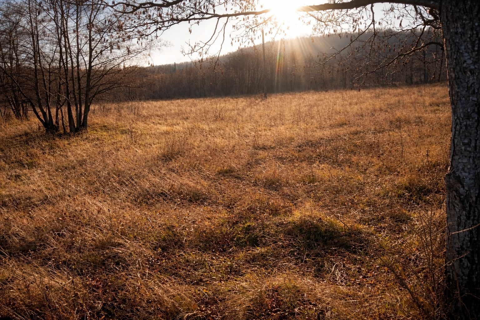 Teren extravilan | Vicovu de Jos | Preț 27.000 | Negociabil - Poză 1