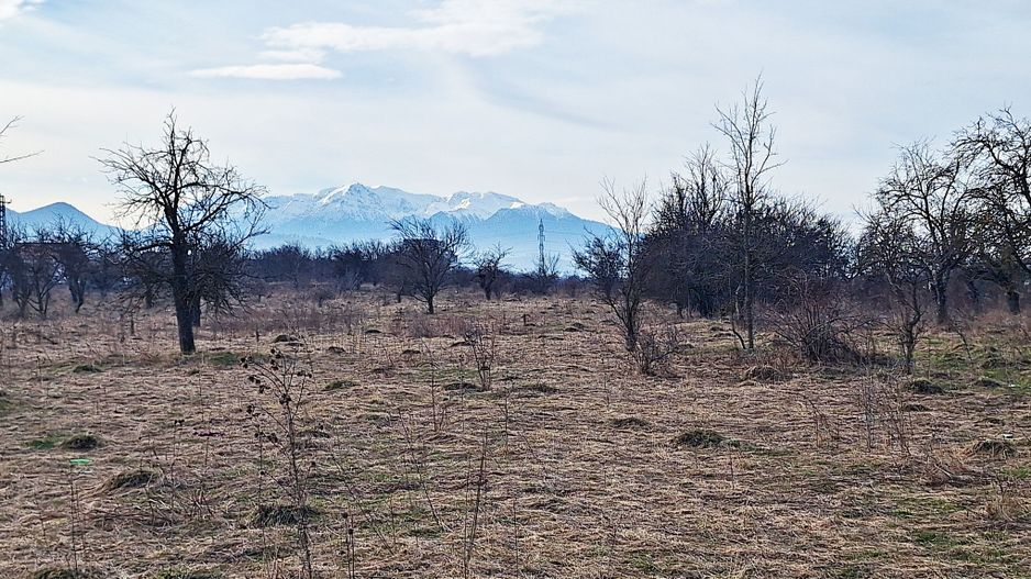 Teren intravilan pentru Investitie!!!,933mp in Ghimbav, 50 euro/mp neg. - Poză 7