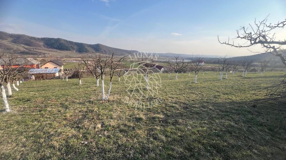 Teren 3100 mp-livada-ideal casa-Mititei - Poză 1