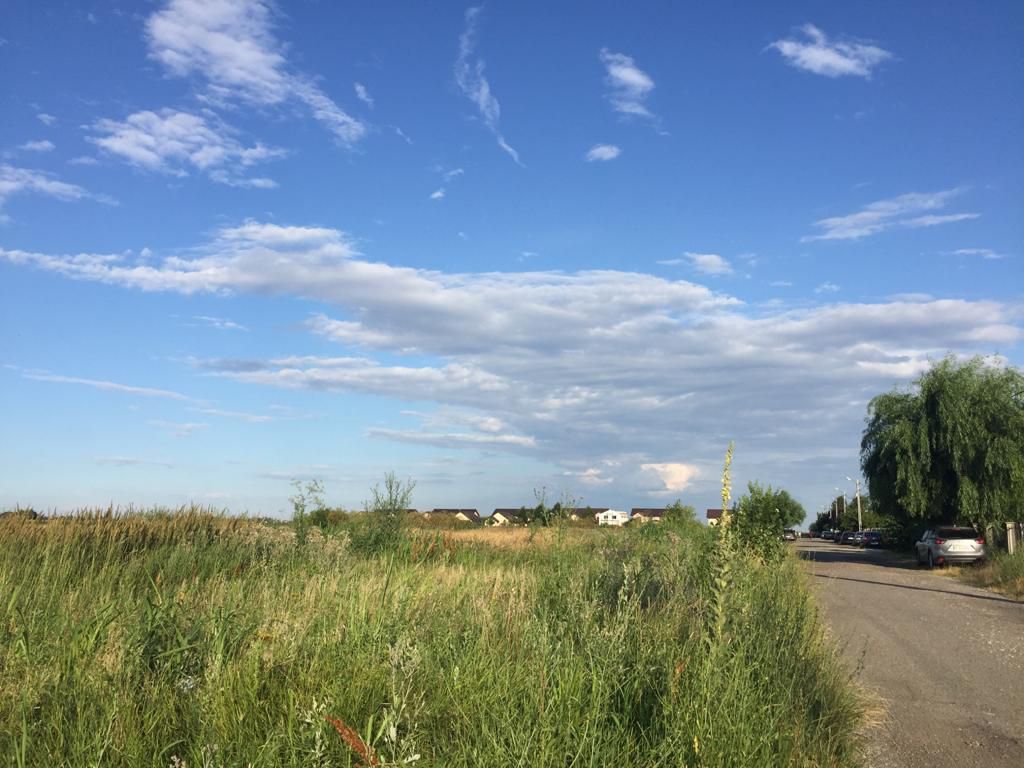 Teren intravilan in comuna Domnesti - sat Teghes - Poză 9