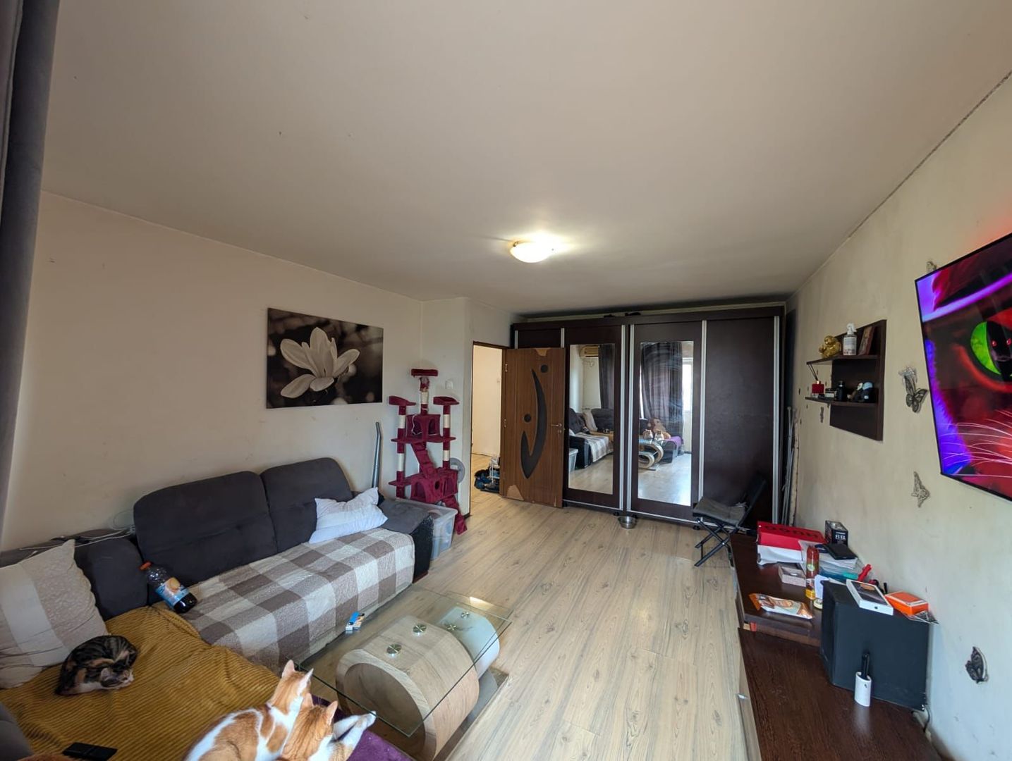 Garsonieră Spațioasă de Renovat în Zona Sebastian - Calea Rahovei - Poză 2