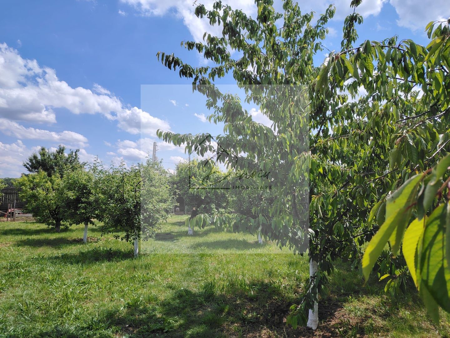 Casa Ciocanesti Cretu - 2 camere cu teren 2539 mp  - Jud. Dambovita - Poză 31