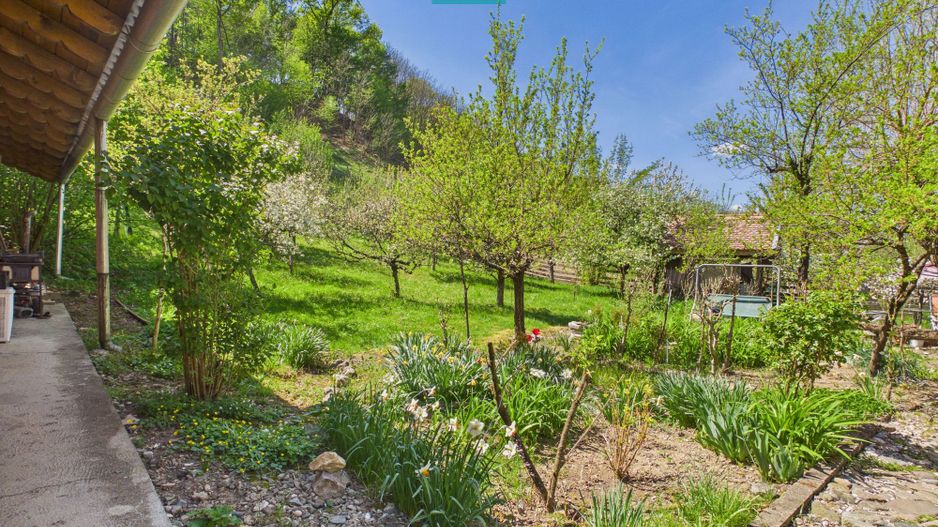 Casă Câmpani, 8000 mp teren, la poalele Apusenilor - Poză 17