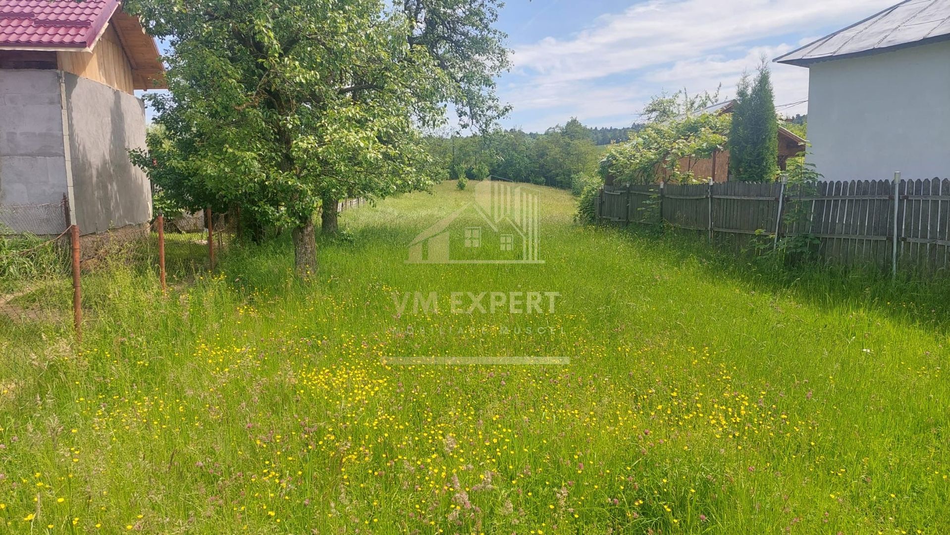 TEREN INTRAVILAN 2972 MP, BUGHEA DE SUS, PRET 23776 EURO - Poză 4