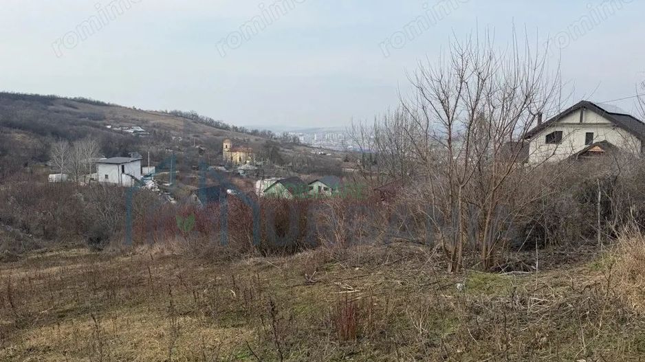 Teren cu priveliste superba, Vladiceni Iasi - Poză 3