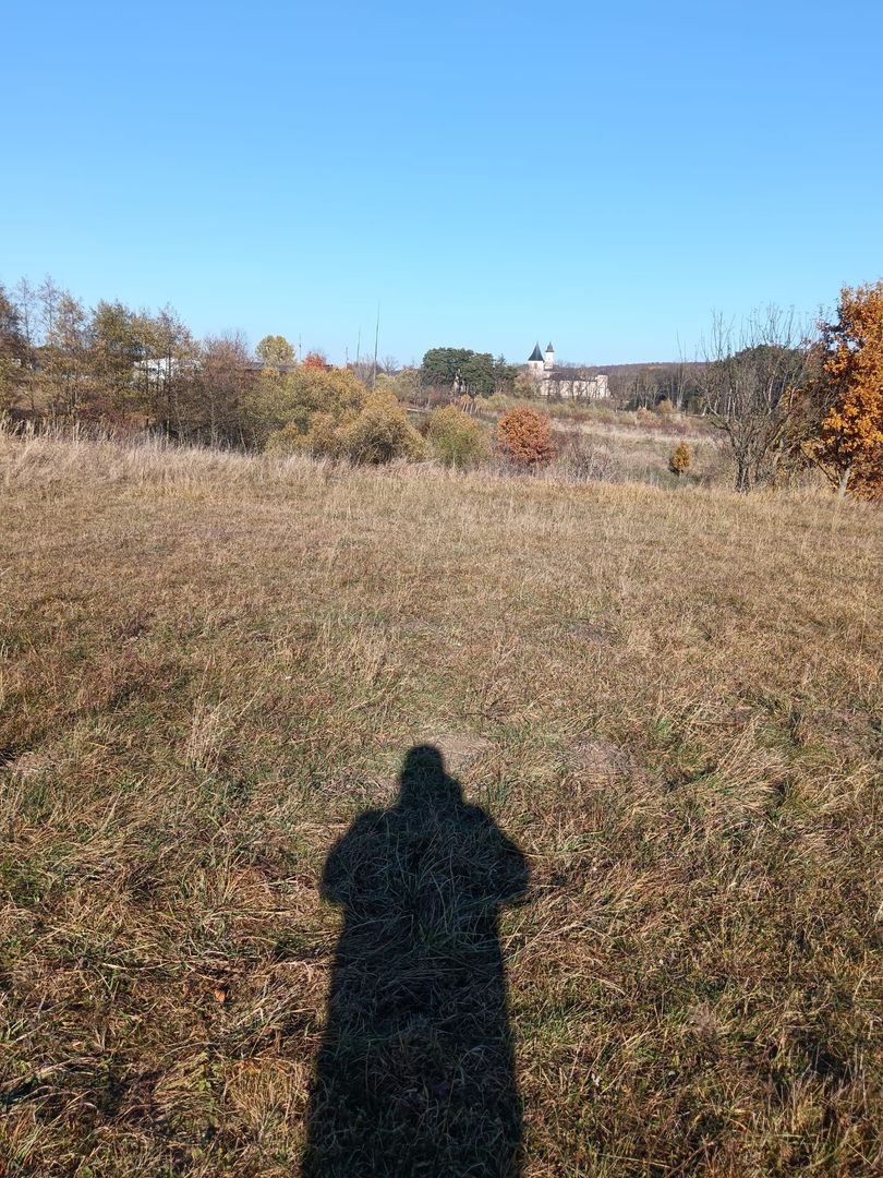 Teren langa Padure Dragomirna 40 Ari ISuceava/Dragomirna I 65.000Euro - Poză 6