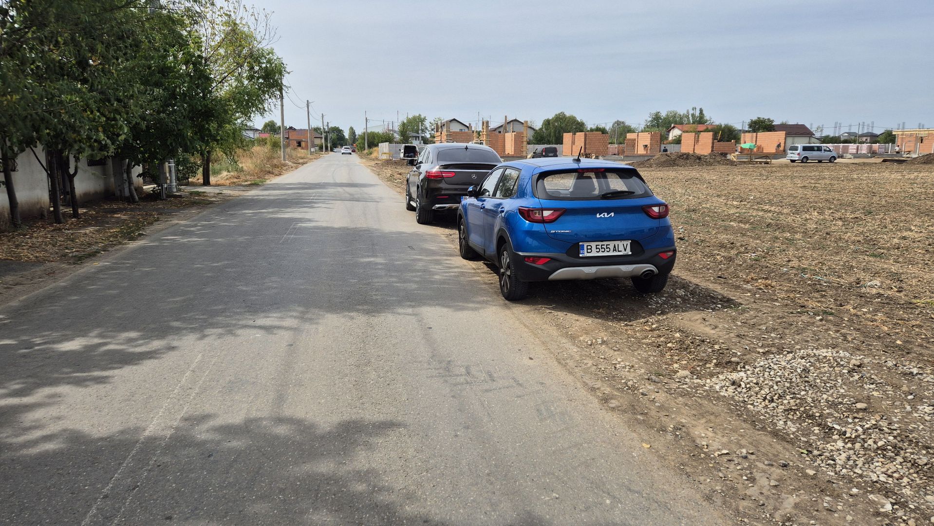 Teren intravilan 16.248 mp - Domnesti - Poză 3