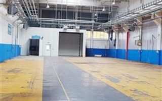 hale in parcul Roman sau tractorul - Poză 2