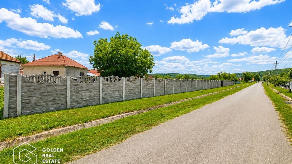 Casa stil brancovenesc, 2 corpuri, localitatea Ususau - Poză 22