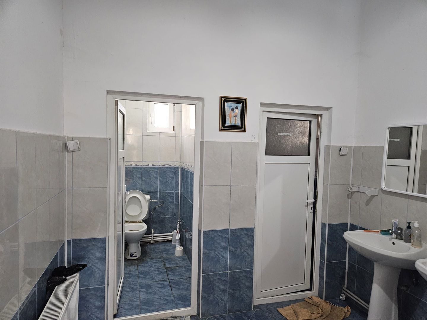 Vanzare amplasament industrial-servicii Tatarasti, Teleorman - Poză 8