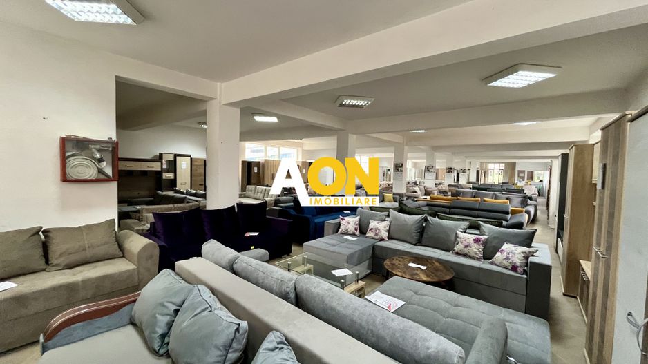 Spațiu Comercial, 400mp Nivel, Cetate - Poză 2