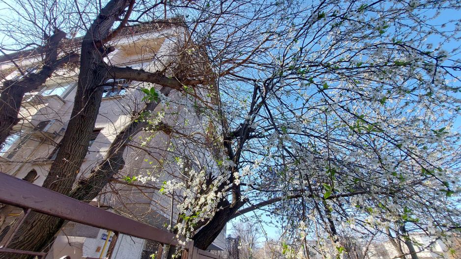 Garsoniera Dorobanti Stradal Langa Televiziune - Poză 24