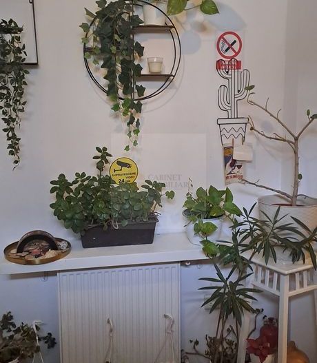 Cismigiu I 3 camere I P+1 + pod I 95 mp I Parcare in curte - Poză 11