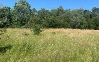 Teren in zona turistica Porumbacu de Sus - Poză 2