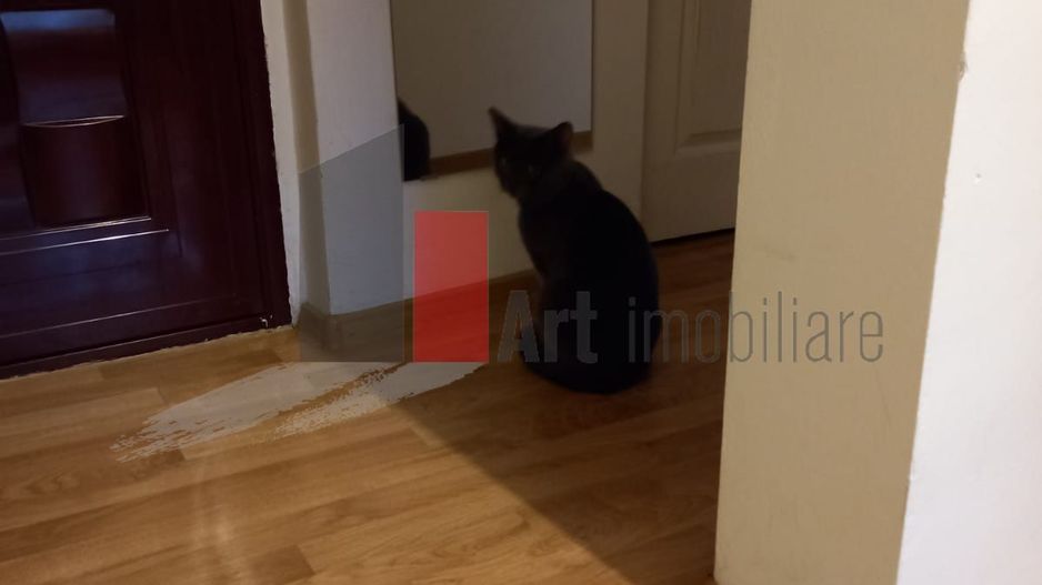 2 camere decomandat in vila Domenii - Poză 7