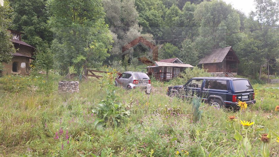 VANZARE ANSAMBLU CASUTE BRADULET ARGES - Poză 19