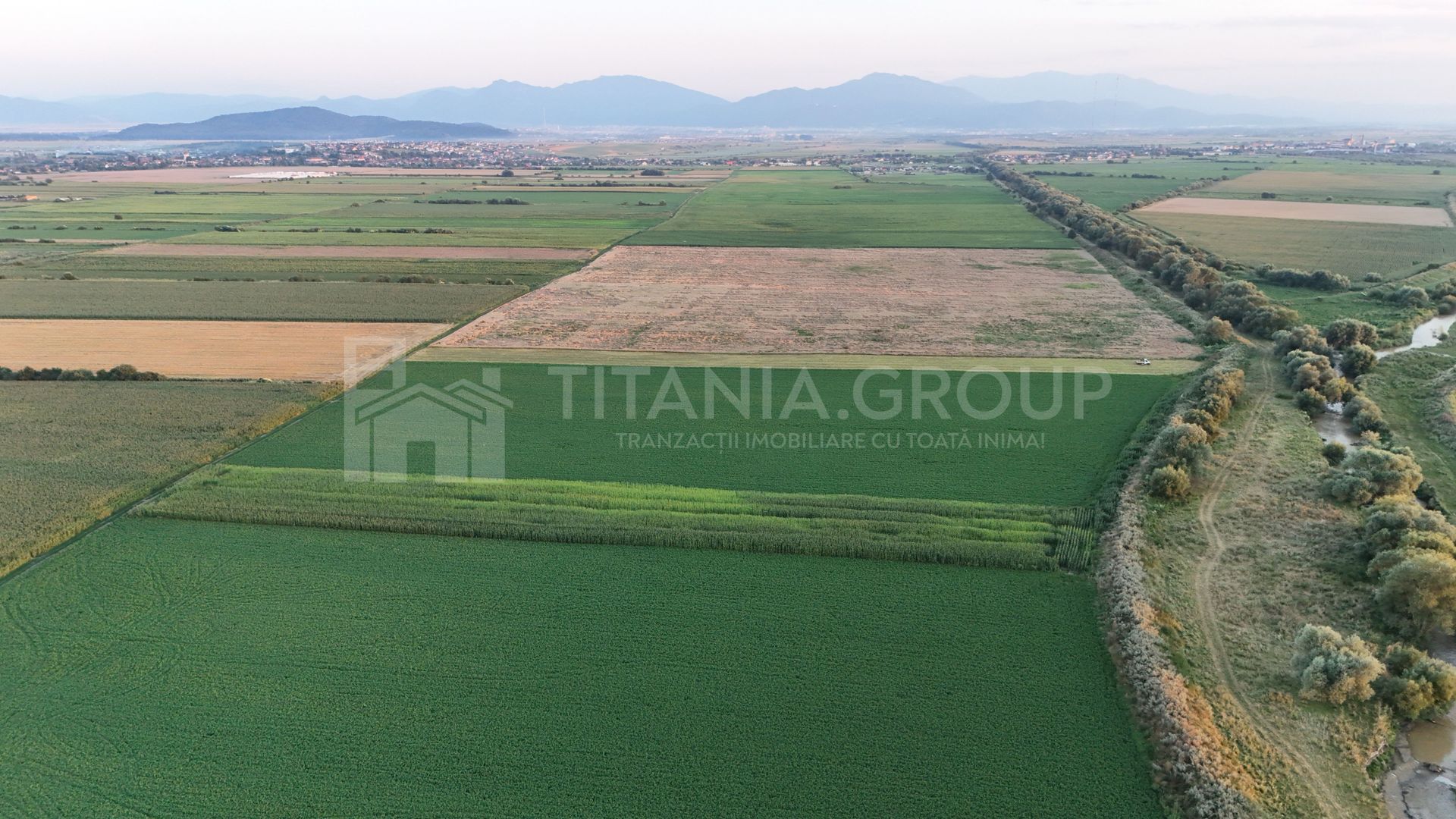Teren extravilan, 8700 mp, pretabil agricultură sau investiție - Bod - Poză 2