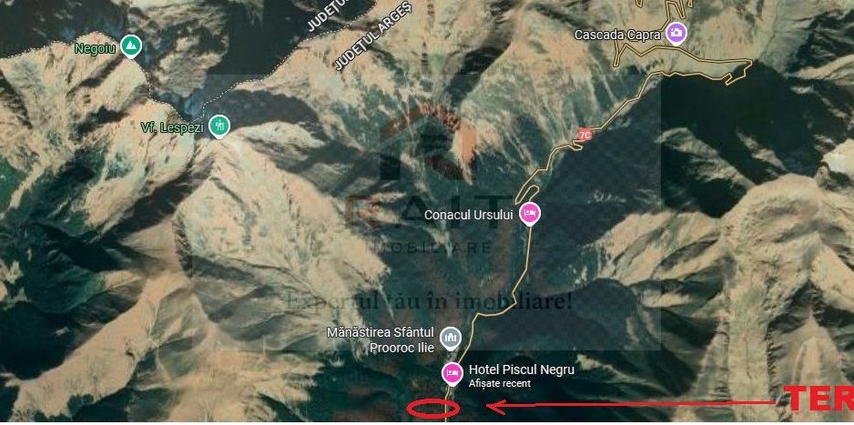 TEREN EXTRAVILAN PADURE PISCUL NEGRU ARGES - Poză 9