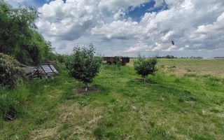 Teren intravilan Ciocanesti Cretu - 9282 mp divizat in 15 loturi - Poză 6