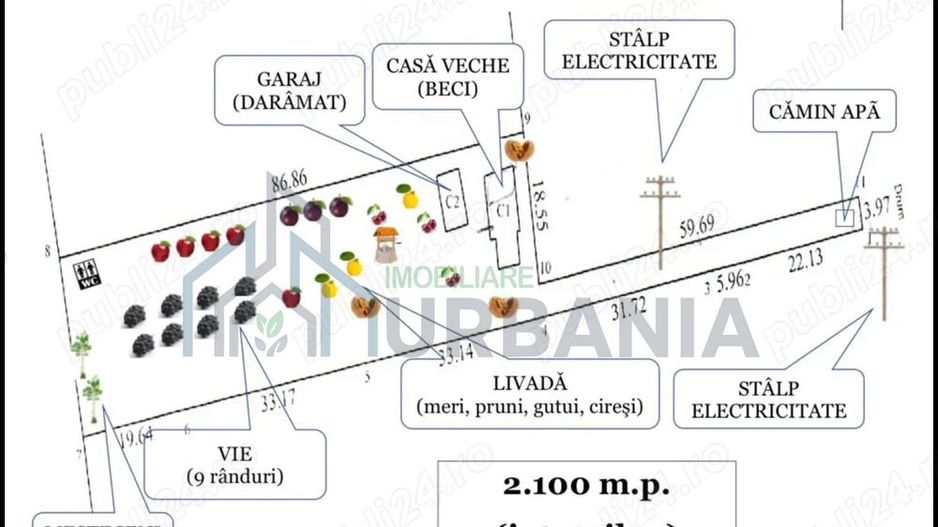 Teren pt casa (intravilan) - utilități, vie, livada - Poză 1