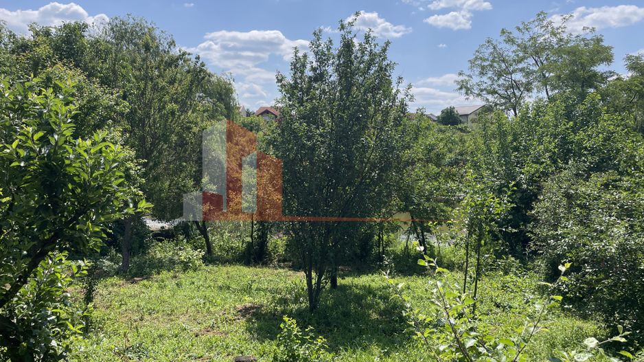 Teren Pipera | Erou Serban Ion - Poză 2