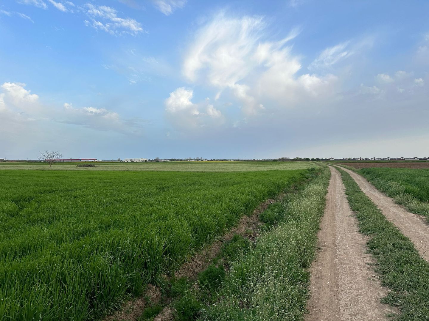 Teren intravilan cu destinatie rezidentiala 7.458 mp Balotesti - Poză 1