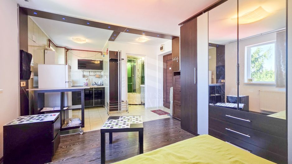 Garsoniera | Open Space | Salaj | Ferentari | Semanatorului nr.50 - Poză 4
