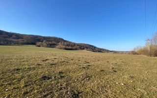 Teren de 7.500 mp de vânzare în Bradu, Avrig-COMISION 0% – lângă râul Olt. - Poză 4