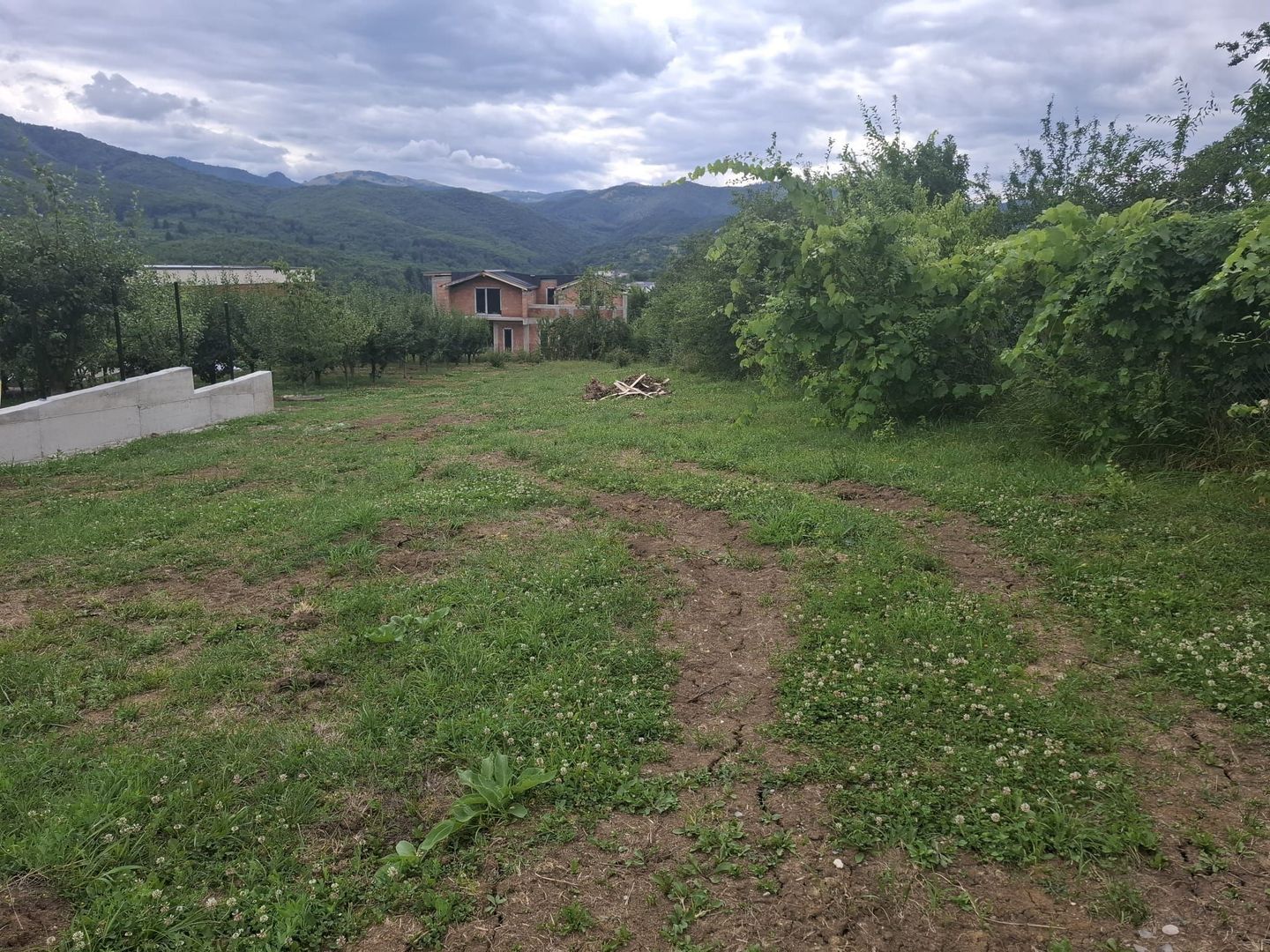 Teren intravilan-constructii în Cisnădioara - Apfel House – 940 mp - Poză 7