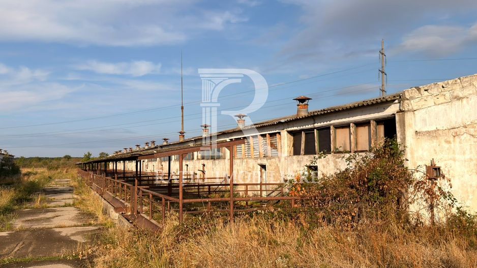 Fermă Sărand | Bihor | 25.659 mp teren intravilan - Poză 17