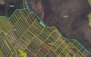 Teren 41,49 ari Ghidighici | deschidere 122 m | agricol | investiție - Poză 2