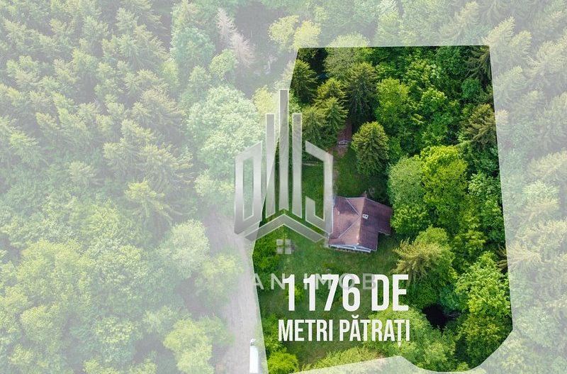 Vilă cu 4 camere | Valea Crișului | COMISION 0% - Poză 3