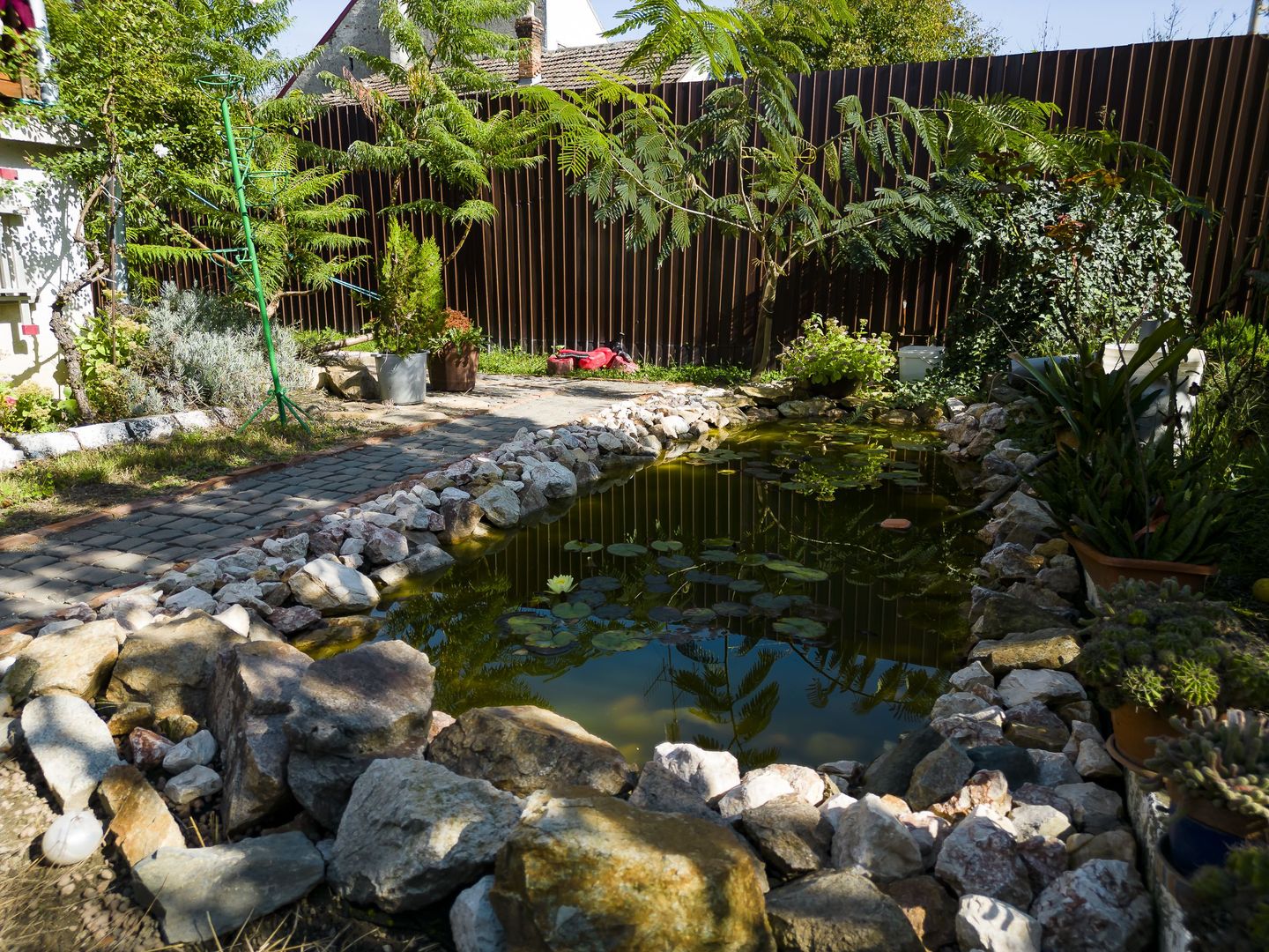 Casă individuală pe un nivel cu 5 camere, Lipova - Poză 7