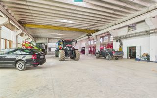 Complex industrial cu hale și teren  în Orțișoara - Poză 9