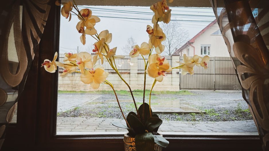 INCHIRIAT - Apartament 2 camere - Dumbravita Lidl - mobilat & utilat complet - Poză 21