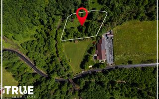 Teren intravilan 2.800 m² în Câmpu Cetății – liniște și natură - Poză 3