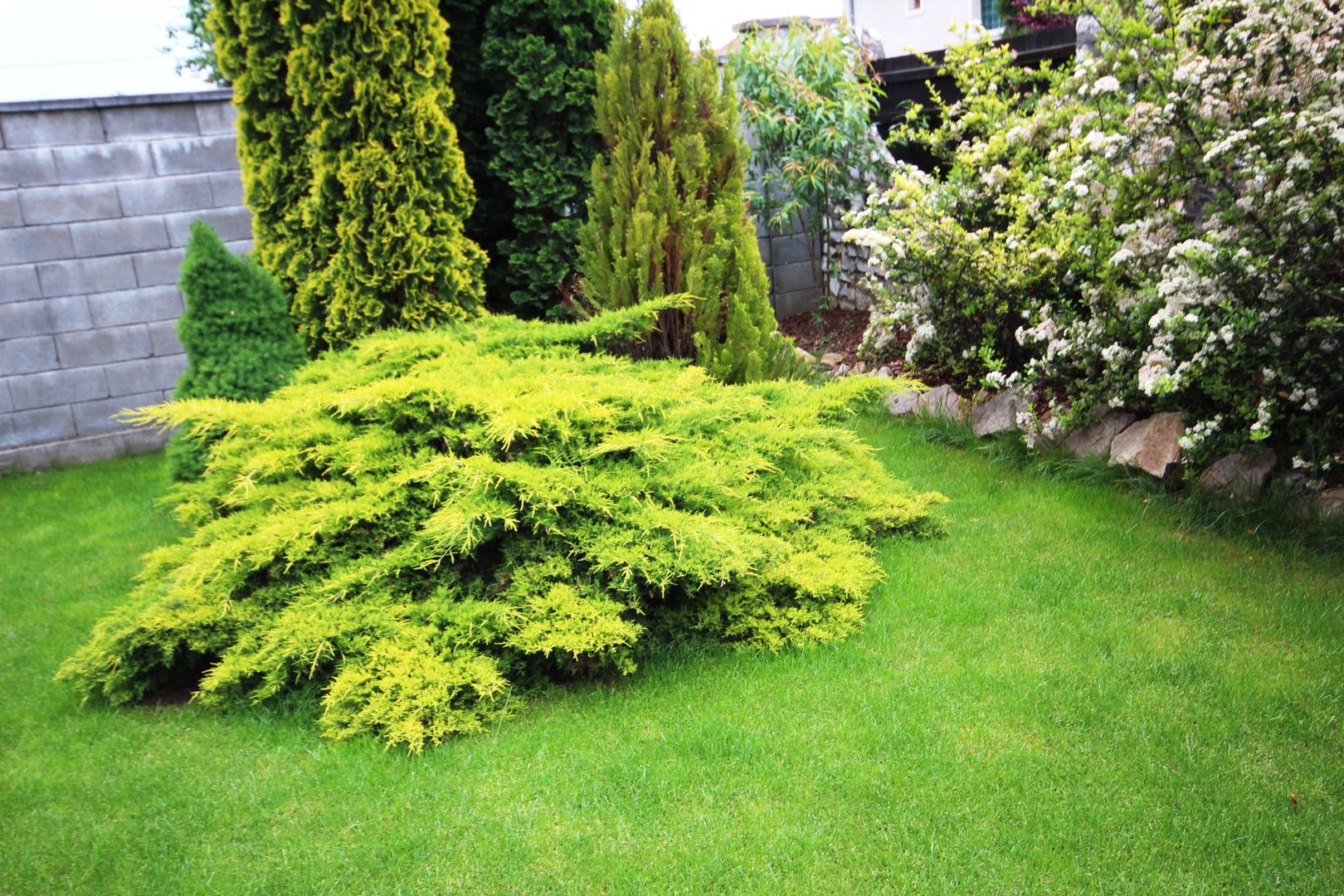 Casa individuala, ideala pentru o familie - Poză 3