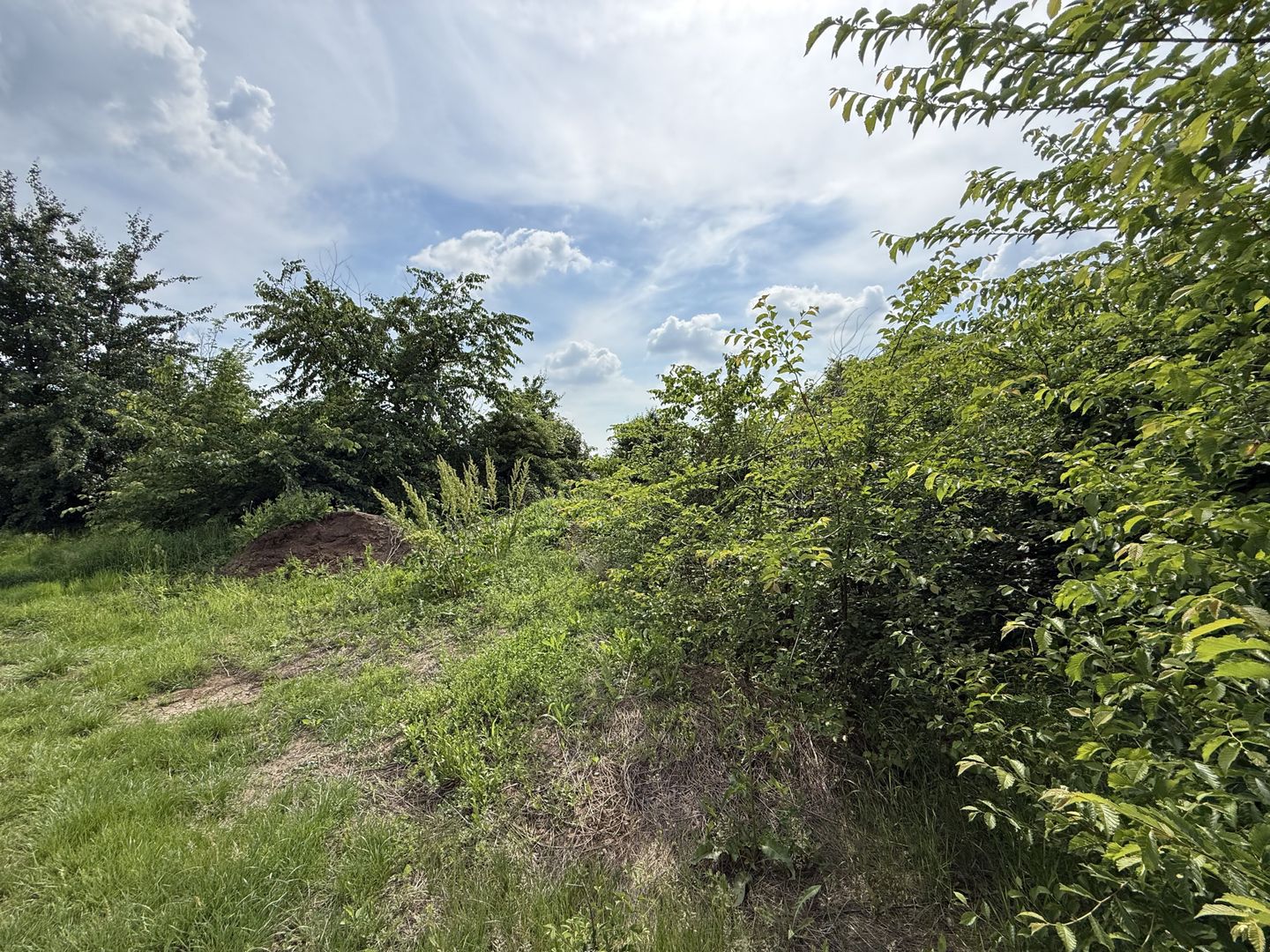 Teren intravilan 498,02 mp langa pădure , strada privata Corbeanca - Poză 14