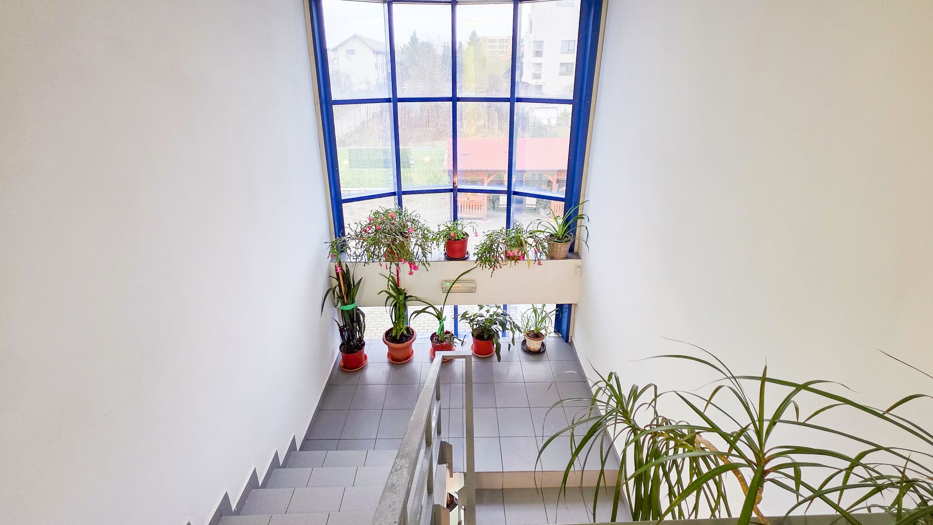 Spațiu industrial–afacere catering la cheie, teren&hală 750 mp S+P+1E - Poză 9