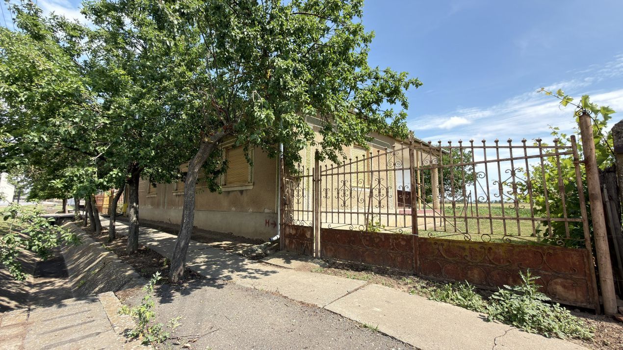 Casă 4 camere, Teren 1955 mp Str. Vezendiului Nr. 366 - Loc. Petrești, Satu Mare - Poză 4