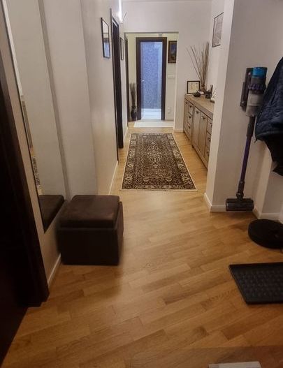 Apartament - Dristor, metrou, Camil Ressu - Poză 2
