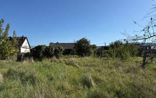 Teren intravilan 965 mp-imprejmuit-ideal casa-Livezile - Poză 1