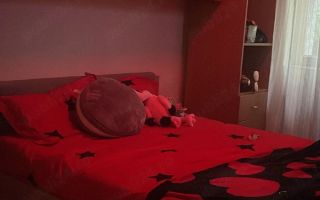 Apartament 3 camere de inchiriat, Iasi - langa Facultatea de Mecanica, Palas si Iulius - Poză 2