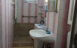 2 camere parter cu balcon Sagului - Poză 4